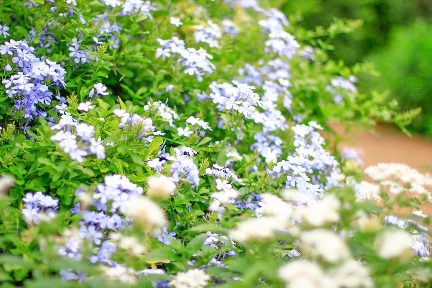 Pottery Flower B&B Чічі Екстер'єр фото